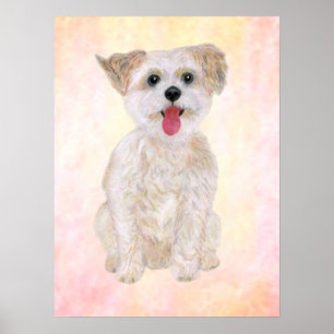 Morkie-hondafdruk met kleurrijke achtergrond poster
