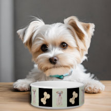 Morkie Hondenbak Met Botje