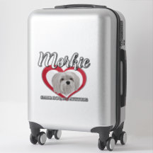 Morkie - Kleine Hond, Grote Attitude - 3