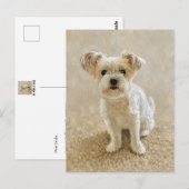 Morkie Liefde Briefkaart (Voorkant / Achterkant)