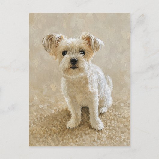 Morkie Liefde Briefkaart (Voorkant)