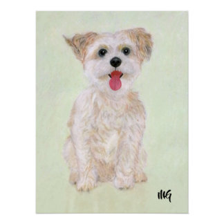 Morkie Poster Met Tekst