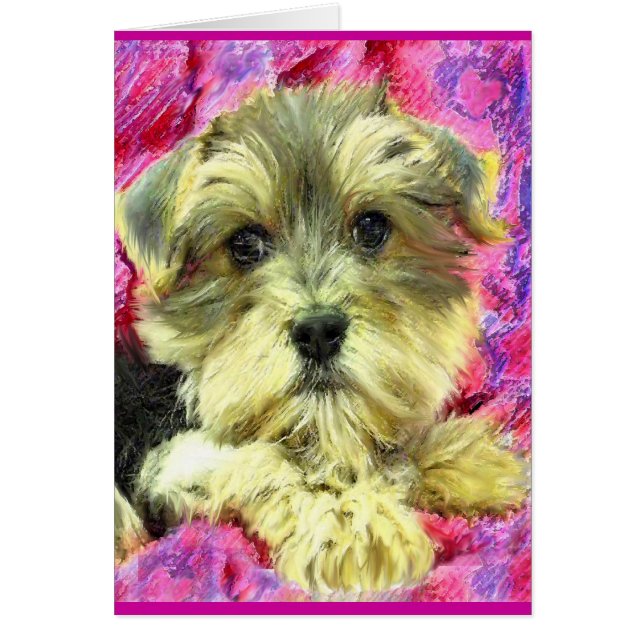 morkie puppy card (Voorkant)