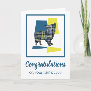 Morkie Puppy Dog feliciteert Wenskaart Kaart