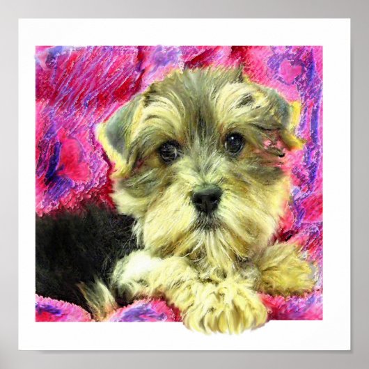 morkie puppy poster (Voorkant)