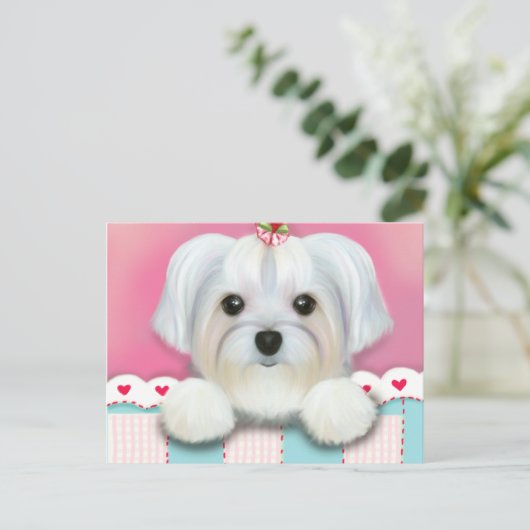 MORKIE SHELLY BRIEFKAART (Staand voorkant)