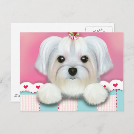 MORKIE SHELLY BRIEFKAART (Voorkant / Achterkant)