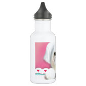 MORKIE SHELLY WATERFLES  (Links)