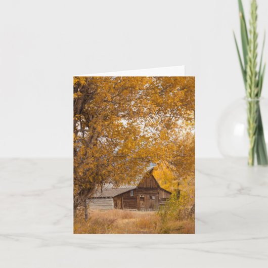 Mormon Row-ansichtkaart Kaart (Voorkant)