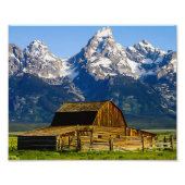Mormon Row Barn Grand Tetons Foto Afdruk (Voorkant)