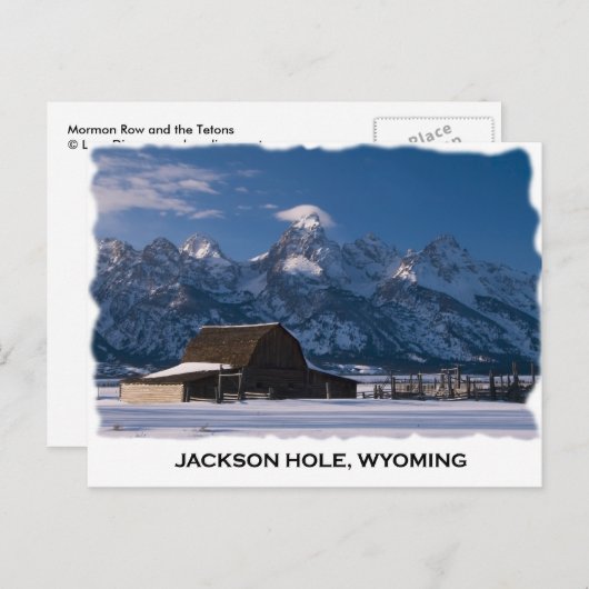 Mormon Row en Tetons Briefkaart (Voorkant / Achterkant)