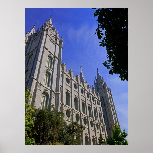 Mormon Temple Poster (Voorkant)
