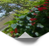 Mormon Temple Poster (Hoek)