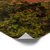 Mormon Temple Poster (Hoek)