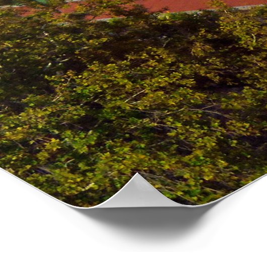 Mormon Temple Poster (Hoek)