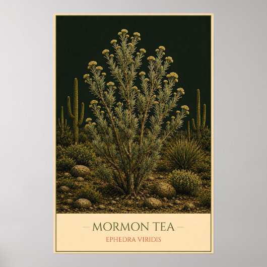 Mormonen thee poster (Voorkant)