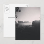 Mornende mist en lage zon op het veld als je een d briefkaart (Voorkant / Achterkant)