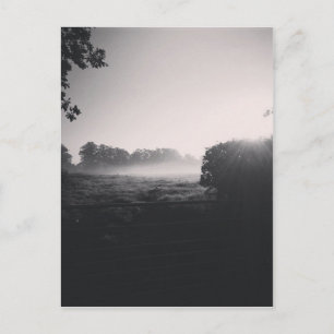 Mornende mist en lage zon op het veld als je een d briefkaart