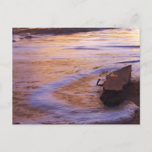 Morning Adrift Briefkaart (Voorkant)