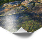 Morning atop Cadillac Mountain in Acadia Foto Afdruk (Hoek)