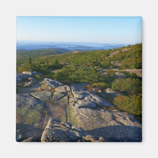 Morning atop Cadillac Mountain in Acadia Magneet (Voorkant)