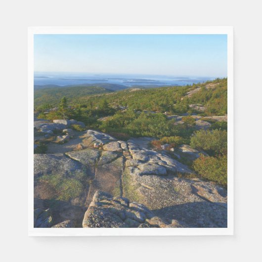 Morning atop Cadillac Mountain in Acadia Servet (Voorkant)