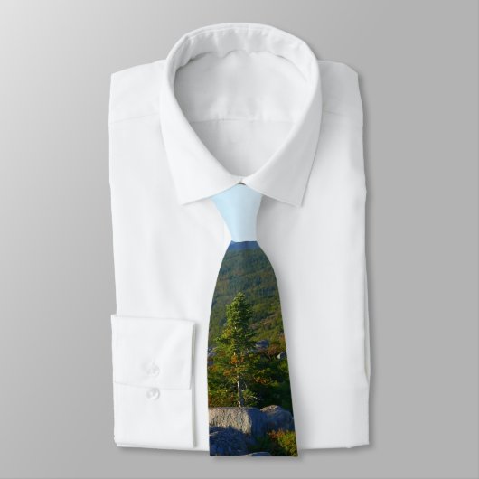 Morning atop Cadillac Mountain in Acadia Stropdas (Gebonden)