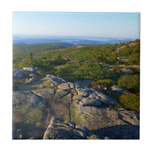 Morning atop Cadillac Mountain in Acadia Tegeltje
