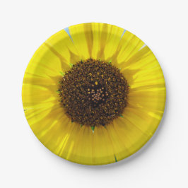 Morning Blaze Papieren Bordje