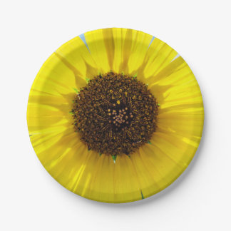 Morning Blaze Papieren Bordje