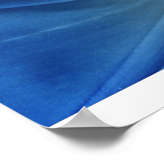 Morning Bloom Poster (Hoek)