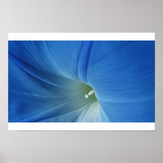 Morning Bloom Poster (Voorkant)