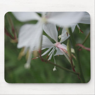Morning Blur - Floral Photography Muismat