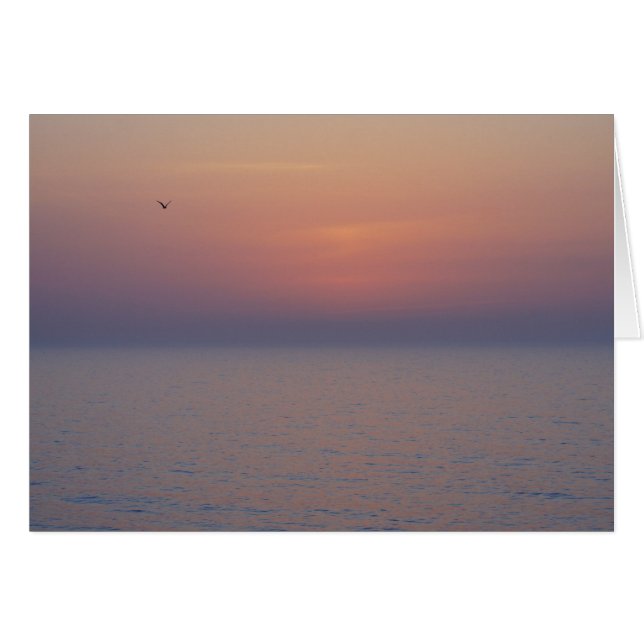 Morning Breaks (Voorkant Horizontaal)