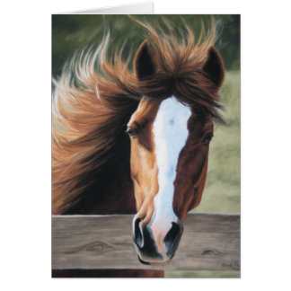 Morning Breeze - kaart