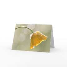 Morning Buttercup Happy Birthday Wenskaart