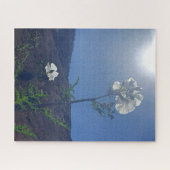 Morning Calm: Cream Blossom in Translucent Light Legpuzzel (Horizontaal)