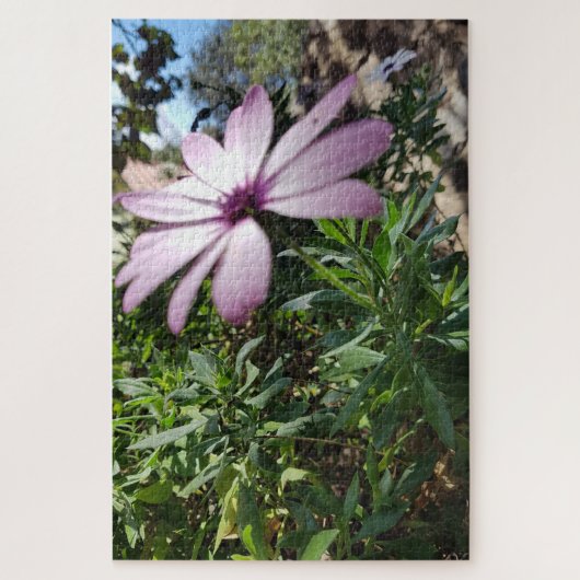 Morning Calm: Pale Pink Flower with Soft Petals Legpuzzel (Verticaal)