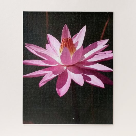 Morning Calm: Pink Lotus in Soft Natural Light Legpuzzel (Verticaal)