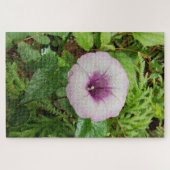 Morning Calm: Soft Dew Dropped Pink Petals Legpuzzel (Horizontaal)