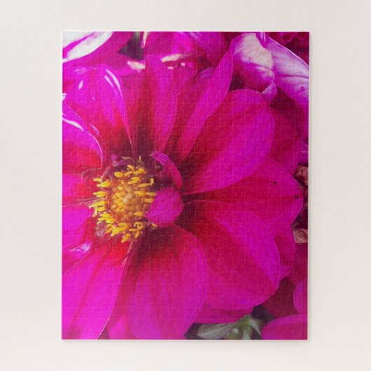 Morning Calm: Soft Pink Daisy with Golden Center Legpuzzel (Verticaal)
