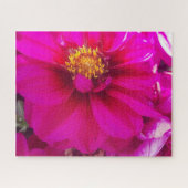 Morning Calm: Soft Pink Daisy with Golden Center Legpuzzel (Horizontaal)
