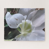 Morning Calm: White Layered Bloom in Natural Light Legpuzzel (Horizontaal)