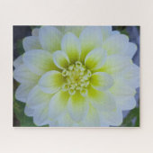 Morning Calm: White Layered Bloom in Natural Light Legpuzzel (Horizontaal)