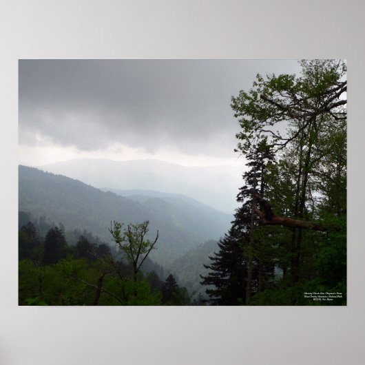 Morning Clouds Over Clingmans Poster (Voorkant)
