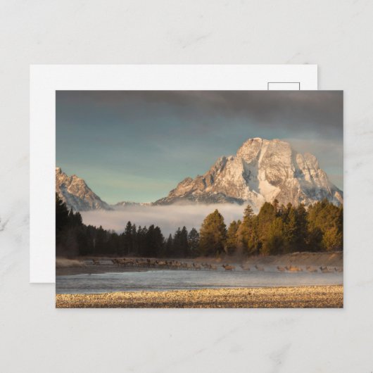 Morning Commute Briefkaart (Voorkant / Achterkant)