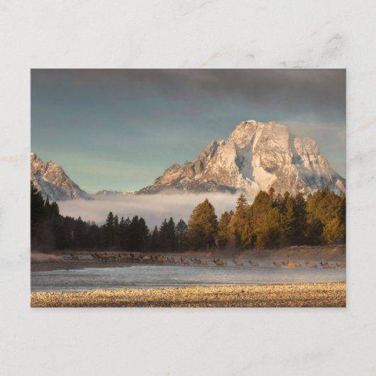 Morning Commute Briefkaart (Voorkant)