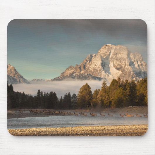 Morning Commute Muismat (Voorkant)