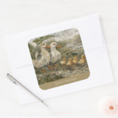 Morning Commute Whimsical Farmhouse Duck Rainy Day Vierkante Sticker (Envelop)