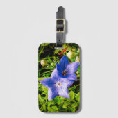 Morning Dew druppelt op een ballonventilator Bagagelabel (Voorkant (verticaal))